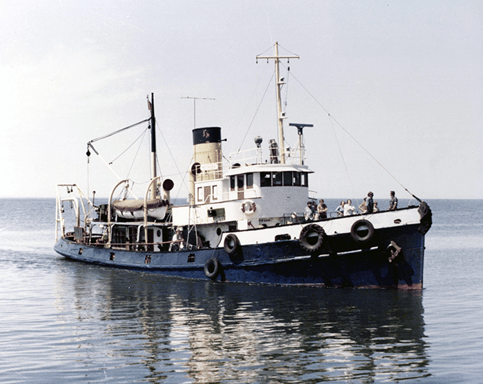 Metridia 1