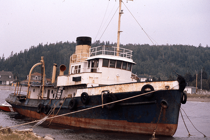Metridia 2