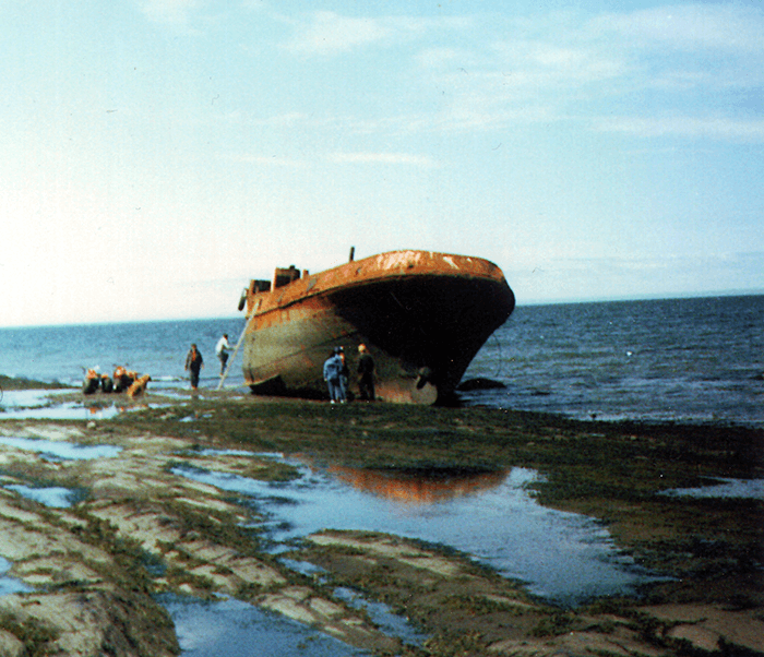 Metridia 3